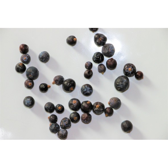 Baies de genièvre 1 kg