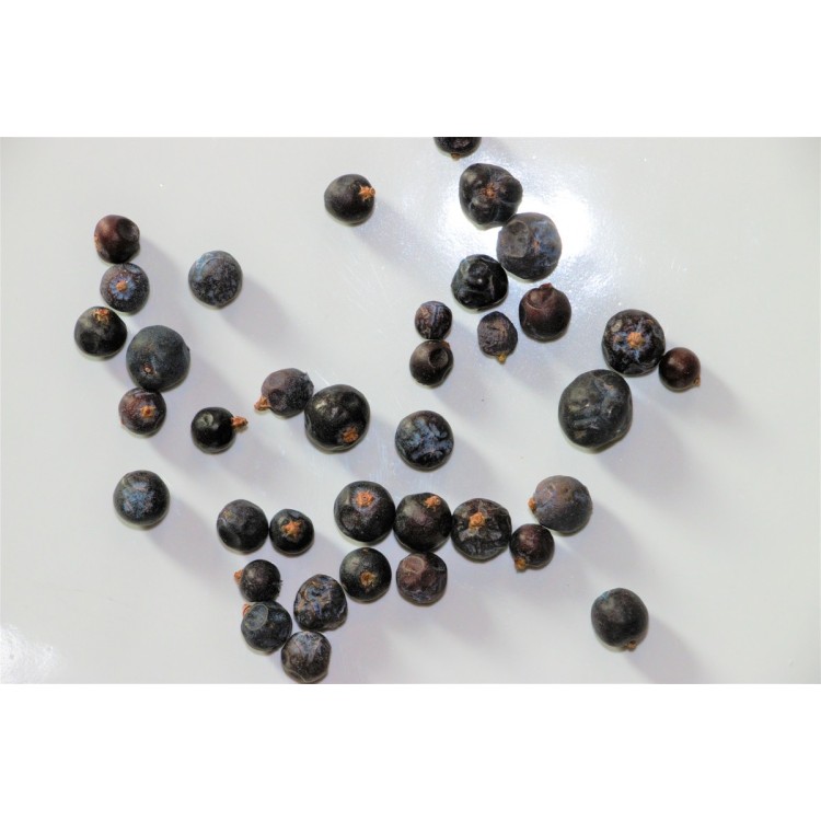 Baies de genièvre 1 kg