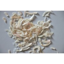 Oignons lanières 1 kg