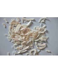 Oignons lanières 1 kg