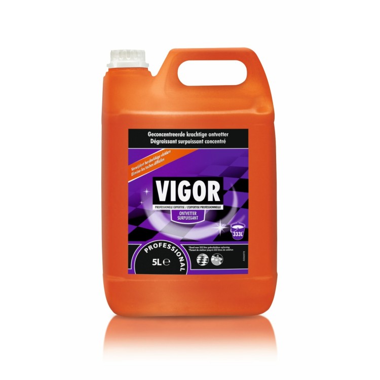 Nettoyant surface et sol 5 L Vigor