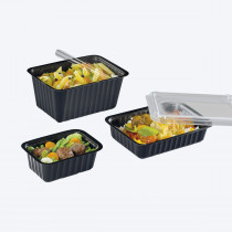 Barquette scellable 19,2x13,7x4,1 mm 75 cl Alphaform (100 pièces)