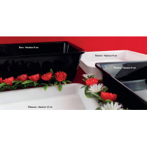 Bac rectangulaire noir plexiglas 26,5 cm Altuglas Fischer