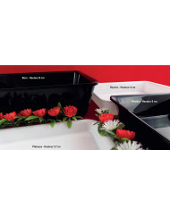Bac rectangulaire noir plexiglas 26,5 cm Altuglas Fischer