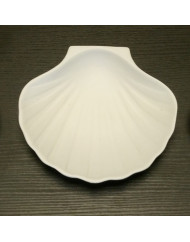 Coquille saint jacques blanc 124x114x31 mm (192 pièces)