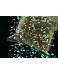 Sac sous-vide plastique transparent 27x75 cm 90 microns (100 pièces)