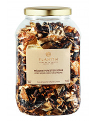 Champignons mélange forestier tubo plastique