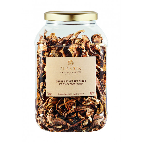 Cèpes 1er choix tubo plastique