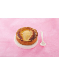 Mixeur plongeant MP450 ULTRA 100 L 500 W 230v Robot Coupe