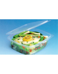 Barquette avec couvercle à charnière rectangulaire transparent 19x18,5x8,4 cm 120 cl Ondipack Alphaform (50 pièces)