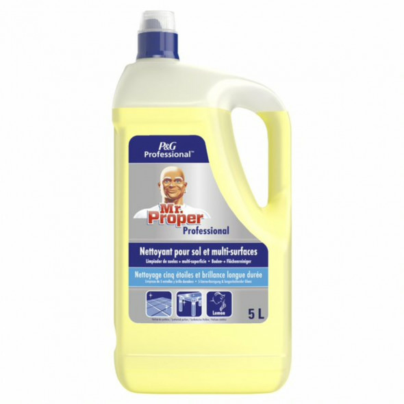 Nettoyant multi-surfaces 5 L Mr Propre (5 pièces)