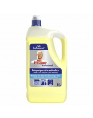 Nettoyant multi-surfaces 5 L Mr Propre (5 pièces)