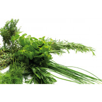 Cutter K55 5,5 L 1000 W 400v-tri Dito Sama