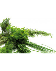 Cutter K55 5,5 L 1000 W 400v-tri Dito Sama