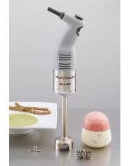 Mixeur plongeant 165VV 4 L 220 W 230v Robot Coupe