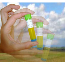 Testeur d'huile de friture plastique (10 pièces)