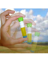 Testeur d'huile de friture plastique (10 pièces)