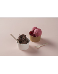 Cuillère à glace 9,5 cm Duni (100 pièces)