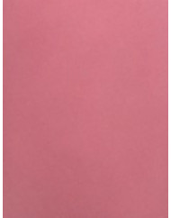 Papier alimentaire ingraissable kraft 25x32 cm (2586 pièces)