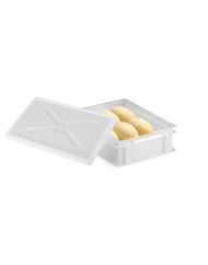 Bac à pâtons Sans couvercle blanc plastique 30x40x10 cm 9 L fond plein parois pleines Gilac