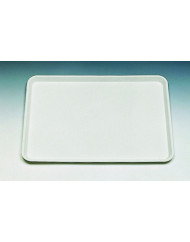 Plateau rectangulaire blanc ABS 58 cm