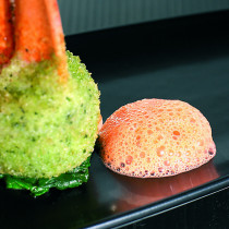 Mixeur plongeant MP190VV 10 L 270 W 230v Robot Coupe