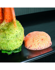 Mixeur plongeant MP190VV 10 L 270 W 230v Robot Coupe