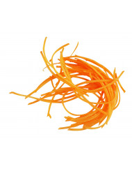 Disque à râper Ø 175 mm Robot Coupe