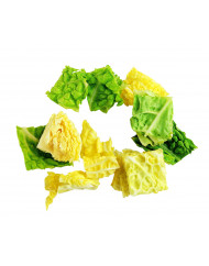 Disque macédoine Ø 190 mm Robot Coupe