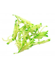 Disque bâtonnets Ø 190 mm Robot Coupe