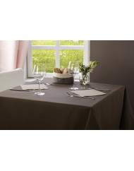 Rouleau de nappe bordeaux non tissé 1,2x25 m Lisah Pro.mundi