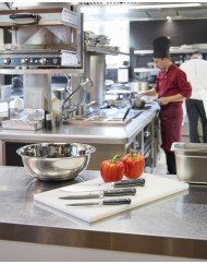 Couteau chef 25 cm acier plastique unie Qualicoup Pro.cooker