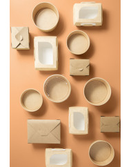 Barquette rectangulaire kraft 11,5x10x4,5 cm 480 ml Earth Essentials (50 pièces)