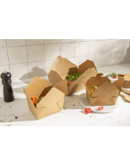 Barquette rectangulaire kraft 21,5x15,7x5 cm 1500 ml Earth Essentials (50 pièces)