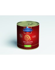 Escargots moyen brun boîte