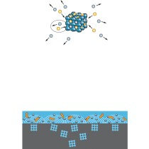 Pince feuilles de chêne inox 24 cm Vollrath