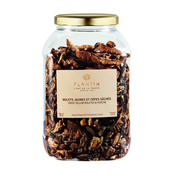 Cèpes et bolets tubo plastique