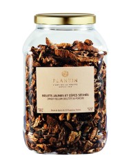 Cèpes et bolets tubo plastique