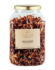 Girolles tubo plastique