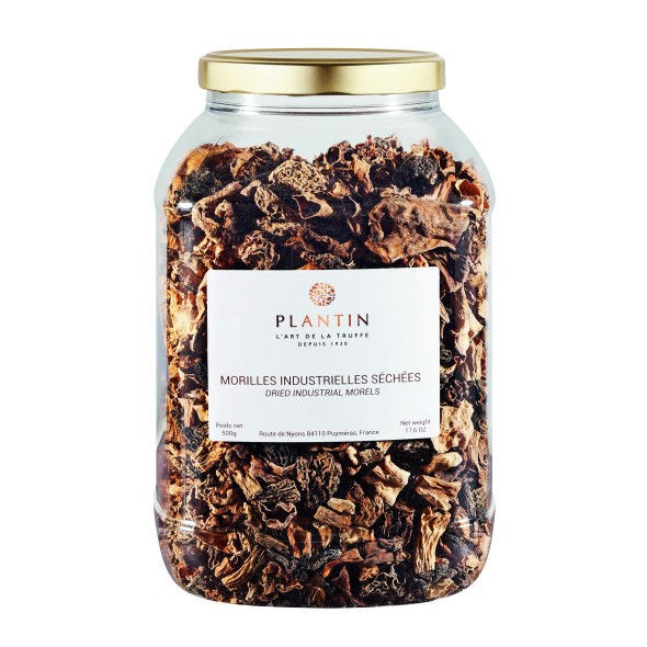 Morilles industrielles tubo plastique