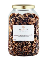 Morilles industrielles tubo plastique